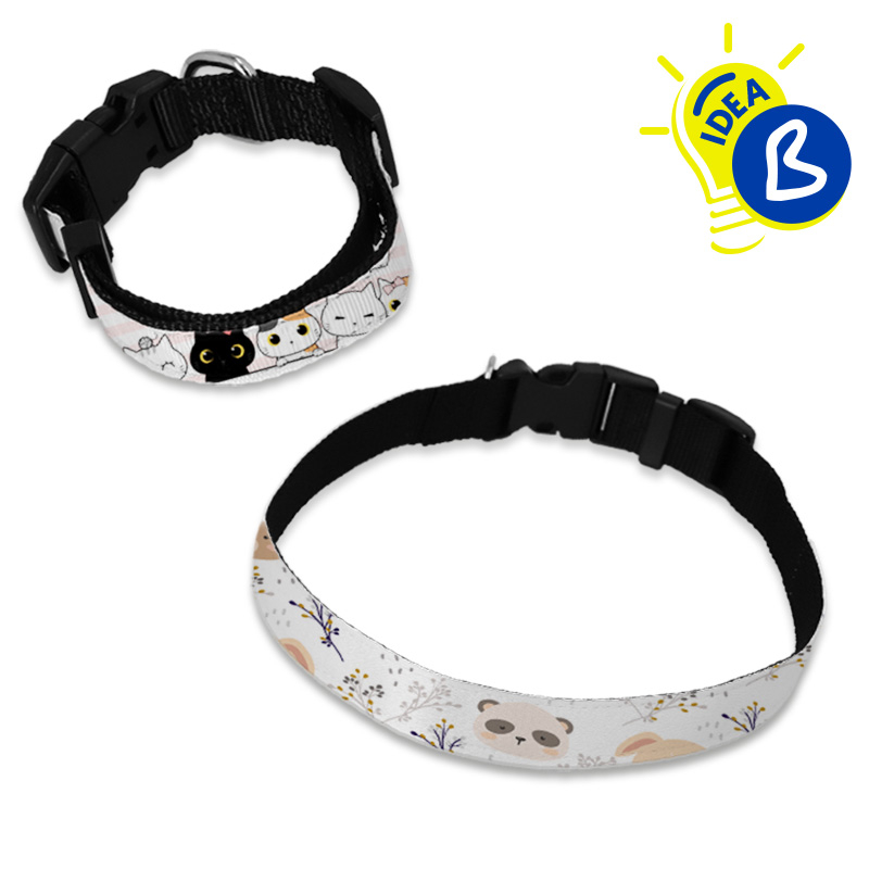 Collar de perro personalizable - Imagen 2