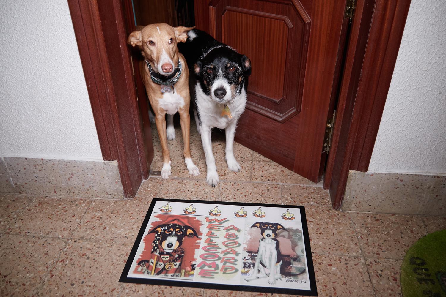 Felpudo personalizable - Imagen 3