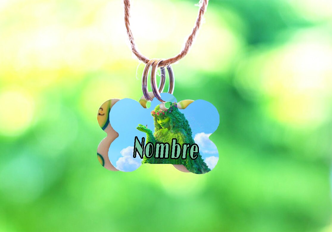 Chapas identificativas personalizadas para mascotas Disney2 - Imagen 9