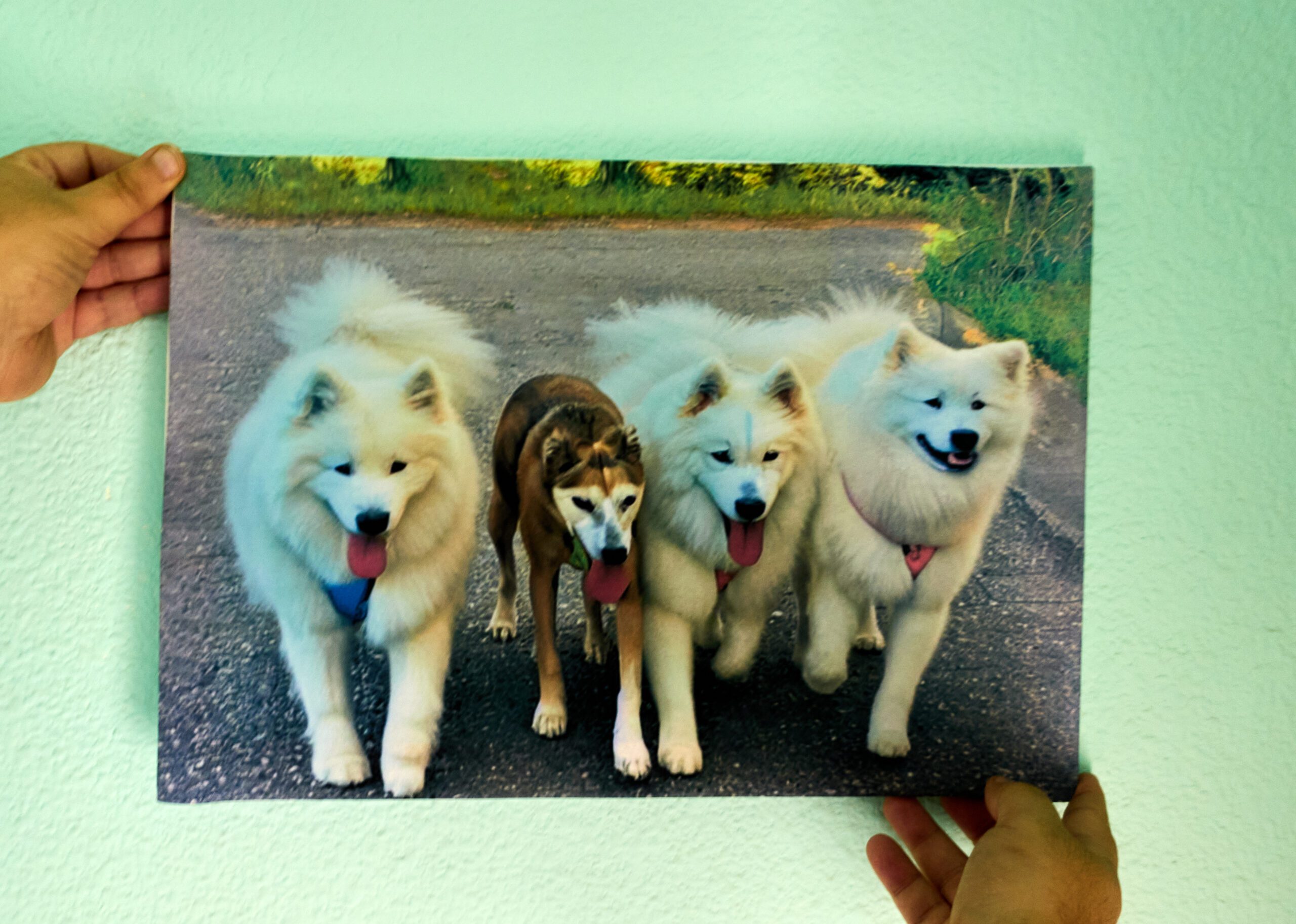 Lienzo Personalizado: Transforma tus Momentos en un cuadro💖🎨 - Imagen 4