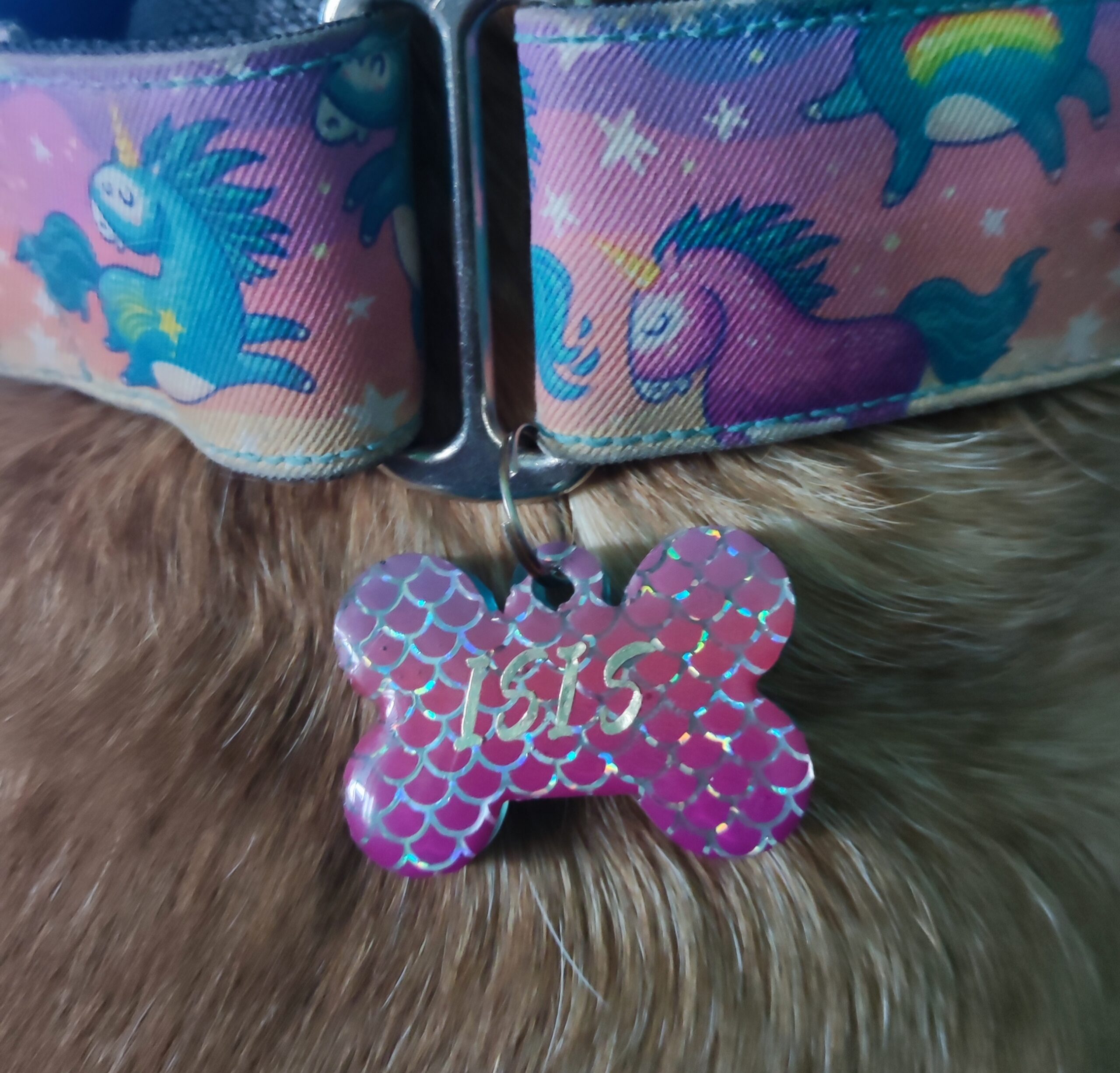 Chapa identificativa de resina para mascotas: DISEÑOS SIRENA