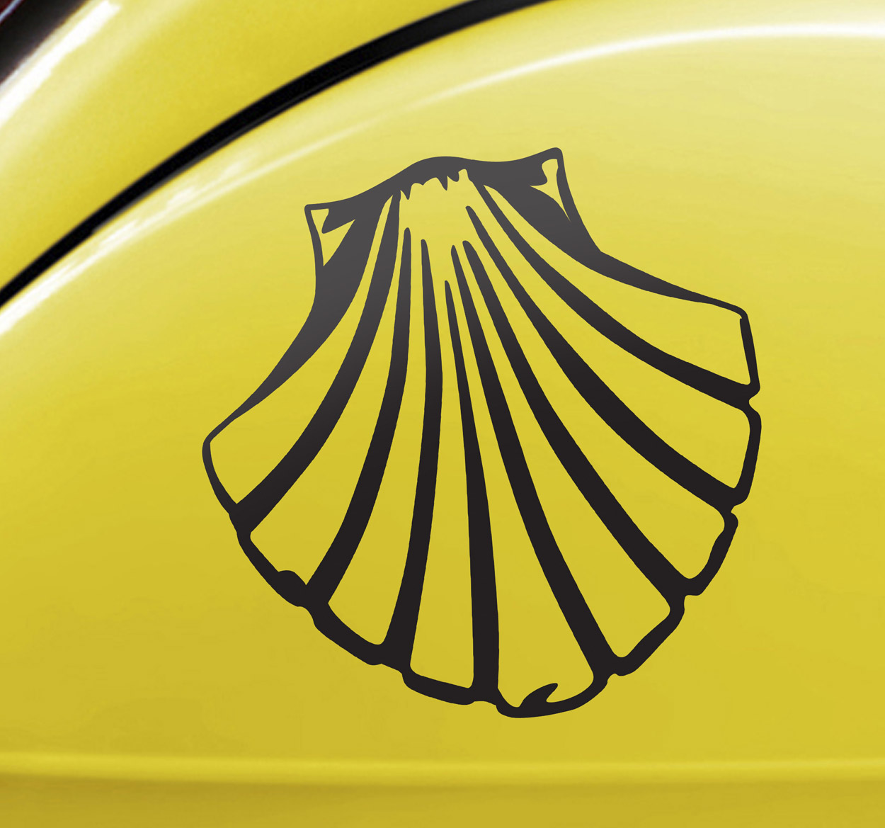 Vinilo para coche "Concha"