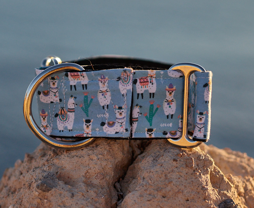 Collar martingale diseño Alpacas