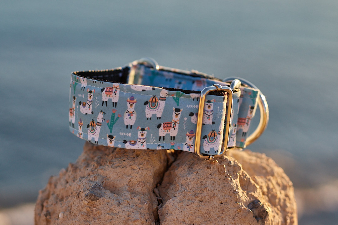 Collar martingale diseño Alpacas - Imagen 2