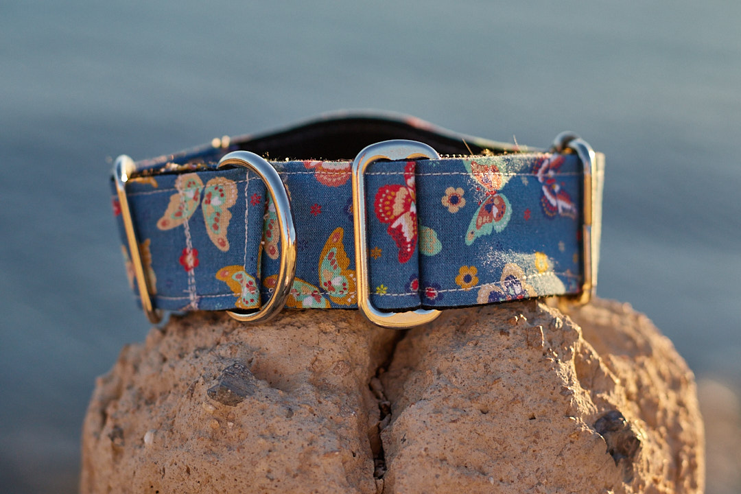 Collar martingale diseño Mariposas