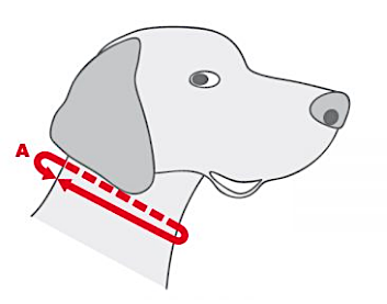 Collar para perro tipo click diseño Alpacas - Imagen 3