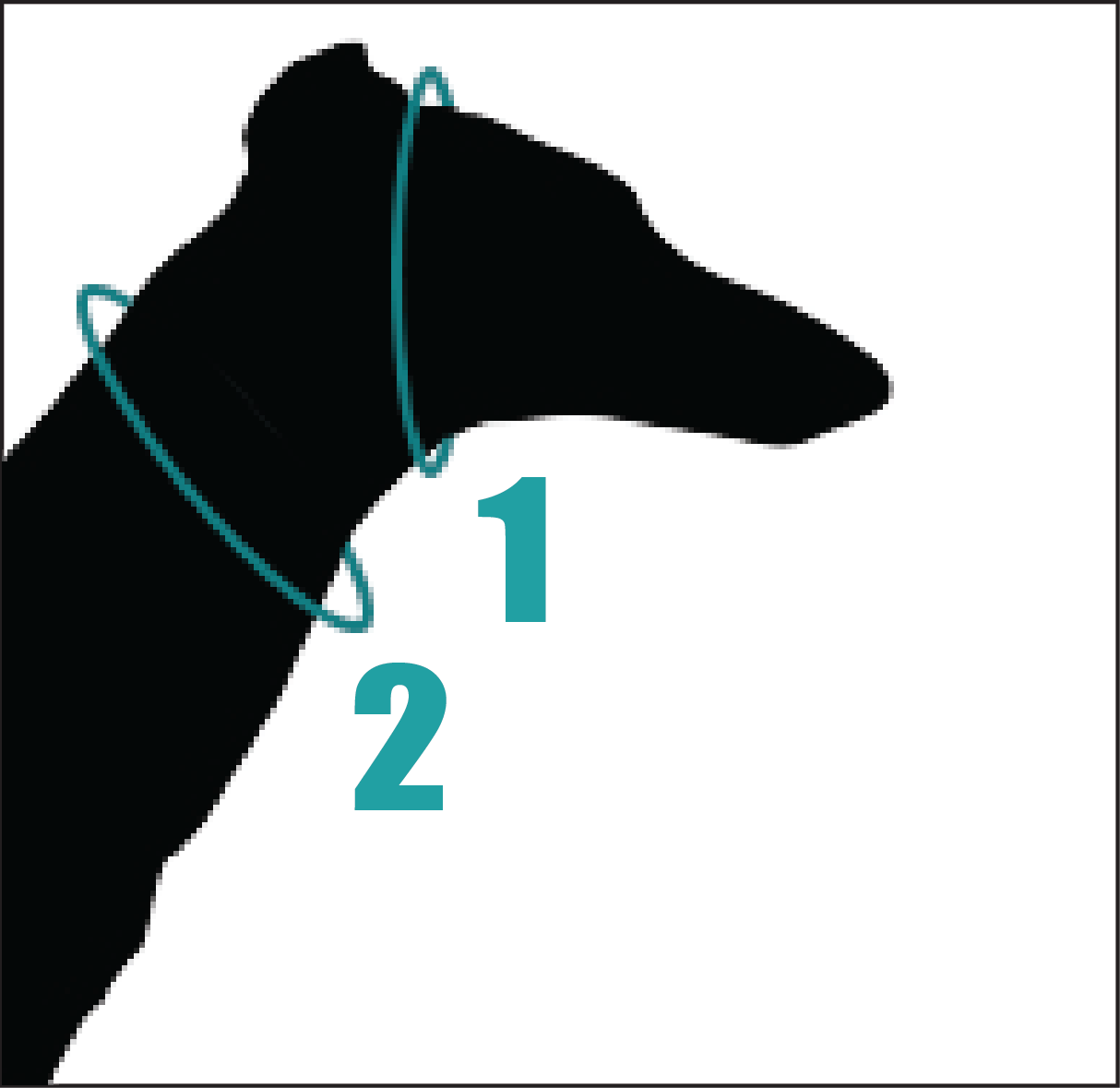 Collar martingale diseño Alpacas - Imagen 3