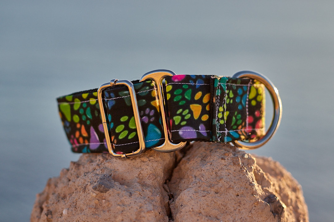 Collar martingale diseño huellas