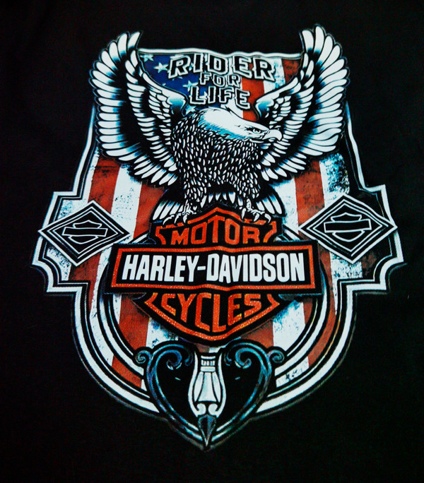 ¡Experimenta el espíritu legendario de Harley Davidson con nuestra Camiseta Vintage Mítica! 🏍️🔥 - Imagen 3